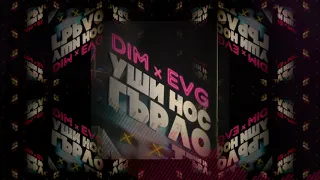 DIM x EVG - NONSTOP (Official Full Audio)