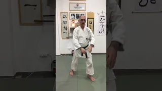 D017 Daito Ryu Aikibudo - Passeggio per Ippondori (Robuse)