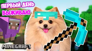 ПЕРВЫЙ ДЕНЬ В МАЙНКРАФТ ! ВЫЖИВАЮ В МАЙНКРАФТ - СТРОЮ ПЕРВЫЙ ДОМИК | MINECRAFT