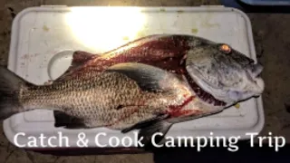 Camping, Cooking and Searching For Fishing spots Along The North Coast Trinidad