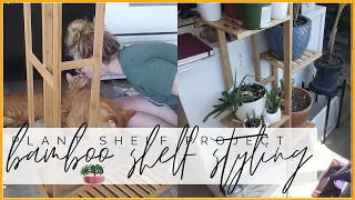 Bamboo Shelf Unboxing, Building & Styling | Bright Light Plants Shelf Set-Up