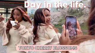 Day in the life in Tokyo Cherry blossom Festivals