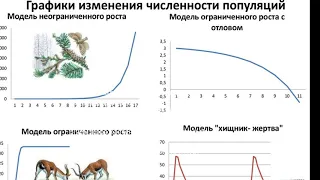 Графики изменения численности популяций