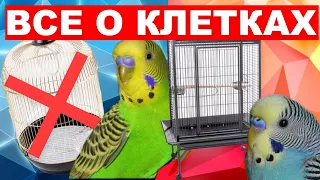 ОБУСТРОЙСТВО КЛЕТКИ ВОЛНИСТОГО ПОПУГАЯ 🦜 КАКАЯ КЛЕТКА ПОДХОДИТ ВОЛНИСТОМУ ПОПУГАЮ 🆘