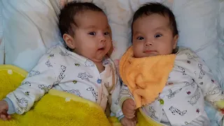 Как двойняшки разговаривают в два месяца, how twins talk at two months, 2 ойлик эгизаклар "сухбати"