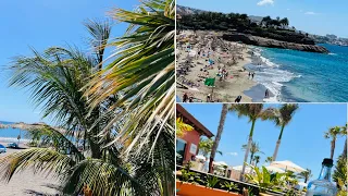 PACKED at Del Duque in Costa Adeje Tenerife! INCREDIBLE Beach, Weather & Beach Club! ☀️