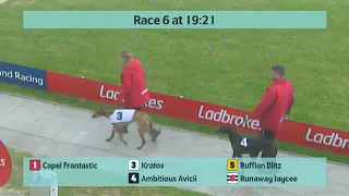 Crayford Greyhounds Races on 23rd April 2024
