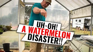 Don't Make This Same Mistake When Starting Watermelon Seeds