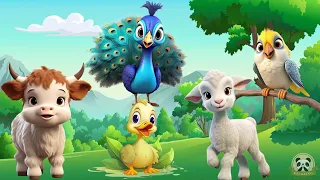 Happy Animal Moments, Familiar Animal Sounds: Cow, Peacock, Sheep, Duck - Animal Videos