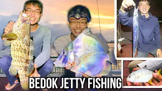 Bedok Jetty Fishing | Groupers, Sicklefish and Beltfish Season