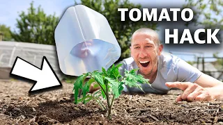 10 FREE Garden HACKS Using Household Items, You Can't Afford to Miss This!