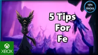 Tips and Tricks - 5 Tips for Fe