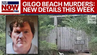 Gilgo Beach murders: New details were revealed this week | LiveNOW from FOX