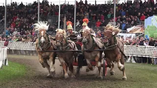 Römerwagenrennen Titanen der Rennbahn Brück 23.6.2018