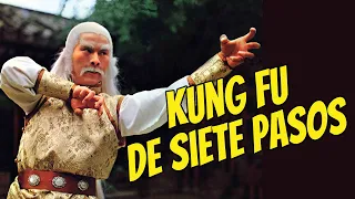 Wu Tang Collection - Kung Fu De Siete Pasos (7 Steps of Kung fu)