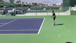 Matteo Berrettini, Forehand & Backhand in real-time and slow motion