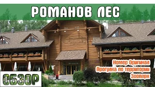 Эко-отель Романов Лес. Обзор и отзыв. Прогулка по территории. Зоопарк. Куда поехать на выходные?