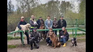 1-е кинологические соревнования на"Кубок Н.Ф. Карацупы", посв. Дню пограничника. г.Тобольск 2024 г.