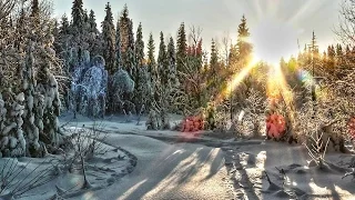 Winter Sonata  Richard Clayderman (Video Natali Burlakova)