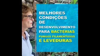 91 - MELHORES CONDIÇÕES DE DESENVOLVIMENTO PARA BACTÉRIAS, FUNGOS FILAMENTOSOS E LEVEDURAS