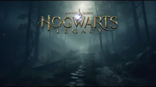 Relaxing walk through Forbidden Forest in Hogwarts Legacy