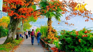 Switzerland 🍂🍁 Montreux, scenic walk in the Promenade