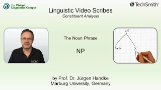 SYN_212 - Linguistic Video Scribes - Constituent Analysis: The NP