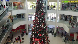 Saludos de Navidad a Mis Suscriptores 2020