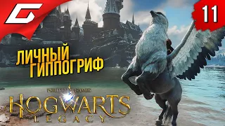 МОЙ ГИППОГРИФ и КРУЦИО ➤ Hogwarts Legacy ◉ Прохождение #11