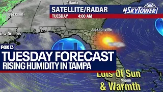 Tampa weather | rising humidity meets warm temps on April 16, 2024