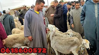 أجيو تشوف ثمان ديال نعجة صردية من سوق جمعة كيسر تاريخ 07/06/2024 الله يسر لجميع ياربي