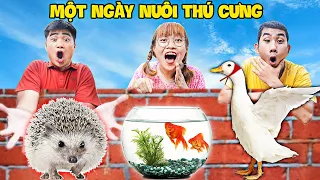 Hà Sam Thử Thách 24H Nuôi Thú Cưng Nhím, Vịt Và Cá Cảnh