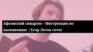 Афганский синдром – Инструкция по выживанию / Егор Летов