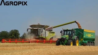 [Harvest 2015] Part 3 - Claas Lexion 770TT + Vario 1200 / John Deere 7290r + Hawe - Leledy Farming