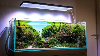 Beautiful 120P Diorama Aquascape with Skylight HYPERSPOT FL lamp