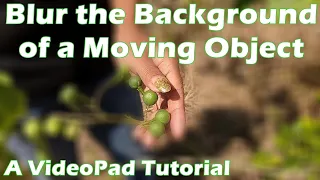How to Blur the Background of a Moving Object Using VideoPad (English)