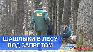 Шашлыки в лесу под запретом