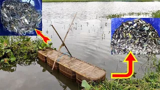 catching fish with(ghuni trap) ||fishing 50kg small fish!! with beautiful nature!!