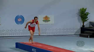 WESCH Anders (DEN) - 2017 Trampoline Worlds, Sofia (BUL) - Qualification Tumbling Routine 2