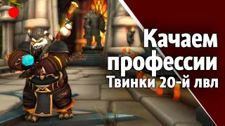 Профессии, чары, квесты. Триальный World of Warcraft | Ales Frye