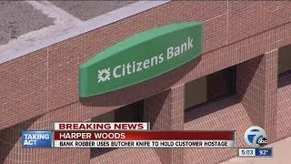 Harper Woods armed bank robbery suspect arrested