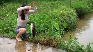 Best Video Hook Fishing. Black Speed Fish Hunting Beautiful Girl