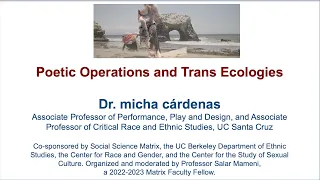 micha cárdenas: Poetic Operations and Trans Ecologies