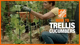 How to Trellis Cucumbers | Edible Gardening | The Home Depot