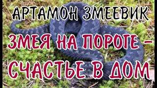 25 сентября-Артамон Змеевик:Что нельзя делать/Приметы и обычаи/Народный календарь/Обычаи и ритуалы