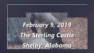 Bigfoot Alabama Paranormal Convention 2019