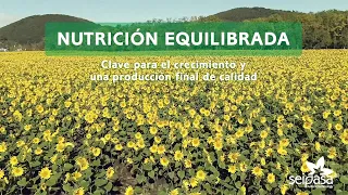 Foliplant: nutrición equilibrada para los cultivos