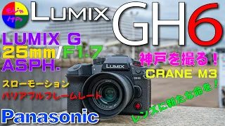 【LUMIX GH6】レンズが蘇る！シリーズ第２弾・Lumix GH6がレンズに新たな命を与える！LUMIX G 25mm/F1.7 ASPH.【4K60P】