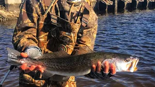 Fishing with Mirro-lures for Speckled Trout in Florida - St Marks Lighthouse