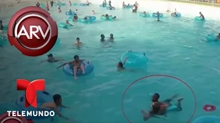 Un salvavidas rescata a un niño a punto de ahogarse | Al Rojo Vivo | Telemundo